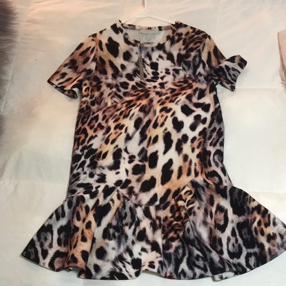 Leopard print Zara W&B Collection shift dress